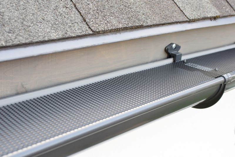 Gutter Cover After Installation